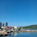 시랑이랑 이미지