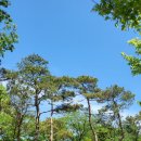 중앙동114 이미지