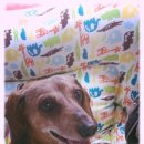 심다누팜 이미지