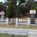 다산나정 이미지