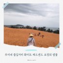 무이네 즐길 거리 갈 만한 곳 레드 화이트 샌드 요정의 샘물 베트남 여행