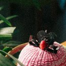 패션소품 이미지