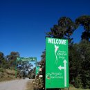 RUTA46 | 코스타리카 여행 산호세에서 과테말라의 국조 케찰(Quetzal) 보러가기(가는 방법, 동영상 첨부)