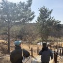 견생개꿀 | 🐾 [용인/기흥] 5천 평 역대급 규모! 공세동 '테일45' 강아지 운동장 완벽 리뷰
