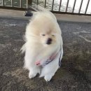 지우병원 | 강남 지우클리닉 피부과 물광주사 내돈내산 후기｜시술 과정, 비용 할인 tip