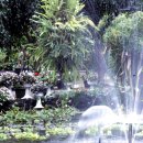 수원-0746 이미지