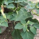 무양공원 이미지