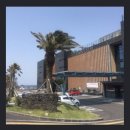 스테이마농 이미지