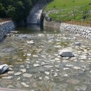 나누리봉사회 이미지