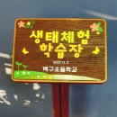 백구초등학교 이미지