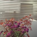 마린시티신경과의원 | 부산마린시티피부과 올타이트 리프팅 효과 없었다면 이 세 가지를 놓친 겁니다