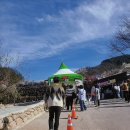 뽕짝노래연습장 | 광양 매화축제 가볼만한가? 정말 솔직한 후기