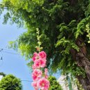 산수동우체국 이미지