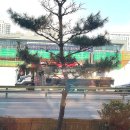 앗싸 해물칼국수 물회 이미지