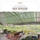 불지산장 | 양산 배내골 평상대여 가능한 호박산장 아기랑 다녀온 리얼 후기