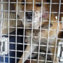 보라매동-14 이미지