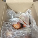 주스용 사과 청송사과 아침and과일 후기