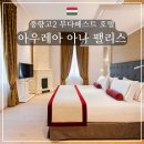 아우레아커피 | 풍향고2 부다페스트 호텔 아우레아 아나 팰리스 헝가리 호텔 추천