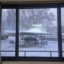 느티나무집펜션 이미지