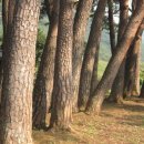 콩사랑마을 이미지