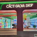 캑티 가챠샵(CACTI GACHA SHOP) 종각점 | 천호 인형뽑기 가게 리뷰 1탄: 로데오거리 3곳 방문 후기