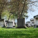 전원약국 이미지