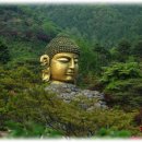 불당대로 이미지