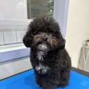 Mong's(몽'스) 이미지