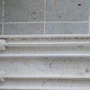 배방읍 공원로 이미지