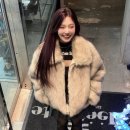 조이트리 이미지