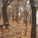 행정사사무소현덕 이미지