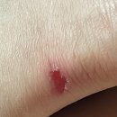 세븐일레븐 광주두암주공점 | 8월달 일을 내가 어 떻 게 기억하냐고