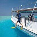 말리비치 이미지