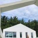 파르마 스테이 | 경주 독채펜션 스테이외외 이용 후기