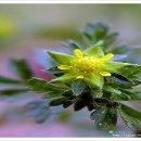 마음의 양식 이미지