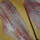 세월낚기 이미지