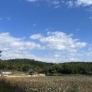 나불지공영주차장 이미지