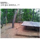 양수리부용산 3월30일 (목) 이미지