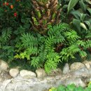 구리하수처리장 곤충생태관 이미지