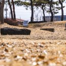 연천 고인돌공원 이미지