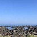 신라스테이플러스 이호테우 이미지