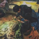 예슬유치원 이미지