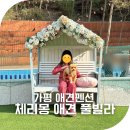 체리몽애견풀빌라 | 가평 애견펜션 체리몽 독채 애견풀빌라 내돈내산 후기