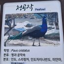 인천대공원(어린이동물원) 이미지