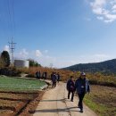 황칠농장 이미지