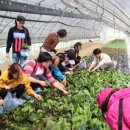 천만농장 이미지