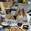 그도야지 | 서울 마곡 특수부위 구이 맛집, 마곡 도야지 야장 애견동반 후기