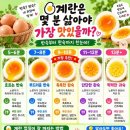 계란은 몇 분 삶아야 가장 맛있을까? 이미지