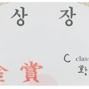 견공풀하우스 이미지