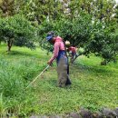 혁이네농장 이미지